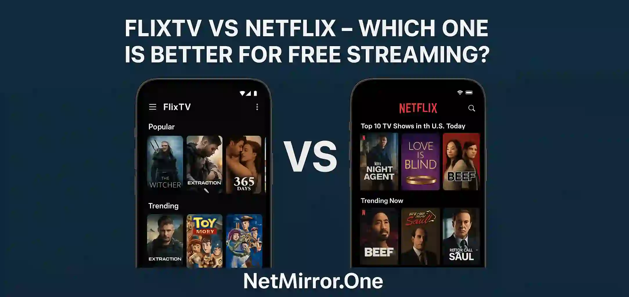 FlixTV vs Netflix – Which One is Better for Free Streaming?